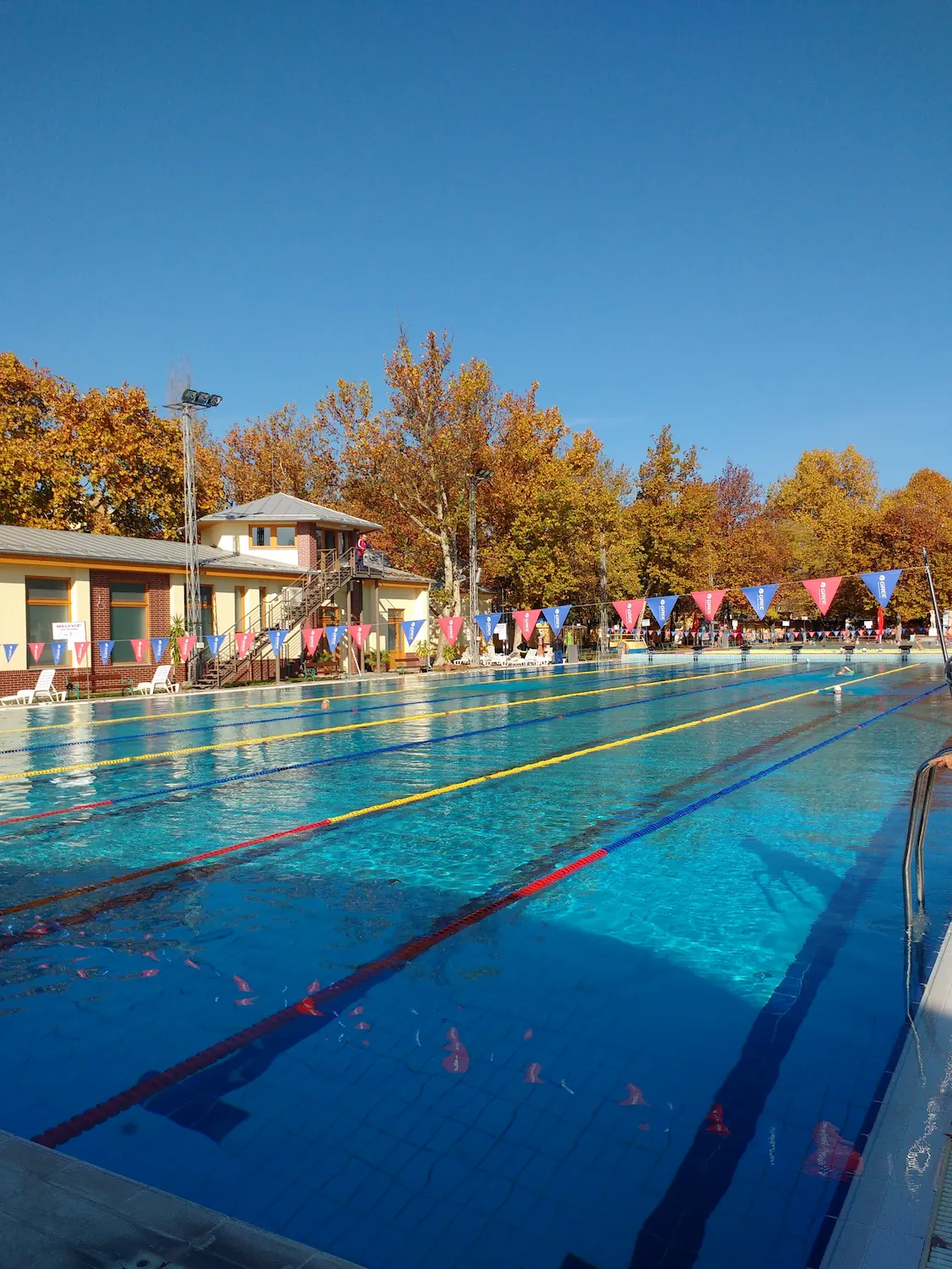 Masters Swimming